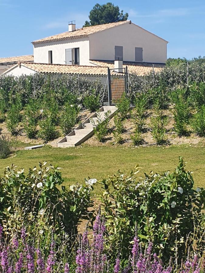 Onze Villa In Provence, Mont Ventoux, New Luxury Villa, Private Pool, Stunning Views, Outdoor Kitchen, Big Green Egg Malaucène エクステリア 写真